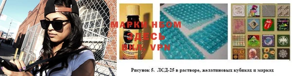 сатива Аркадак