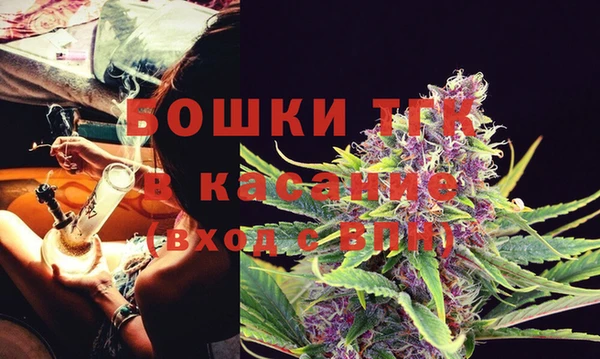 сатива Аркадак