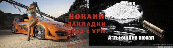 ешки Арсеньев