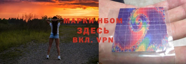 сатива Аркадак
