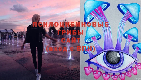 ешки Арсеньев