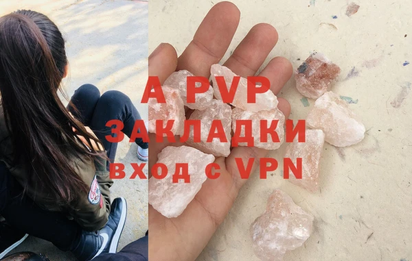 сатива Аркадак