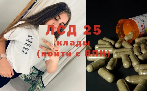 сатива Аркадак
