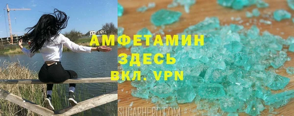 сатива Аркадак