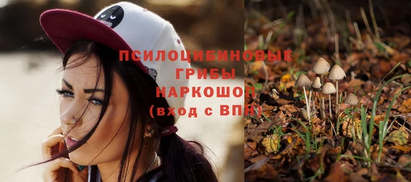 ешки Арсеньев
