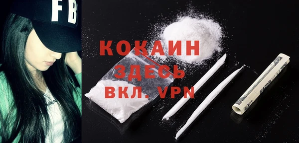 сатива Аркадак